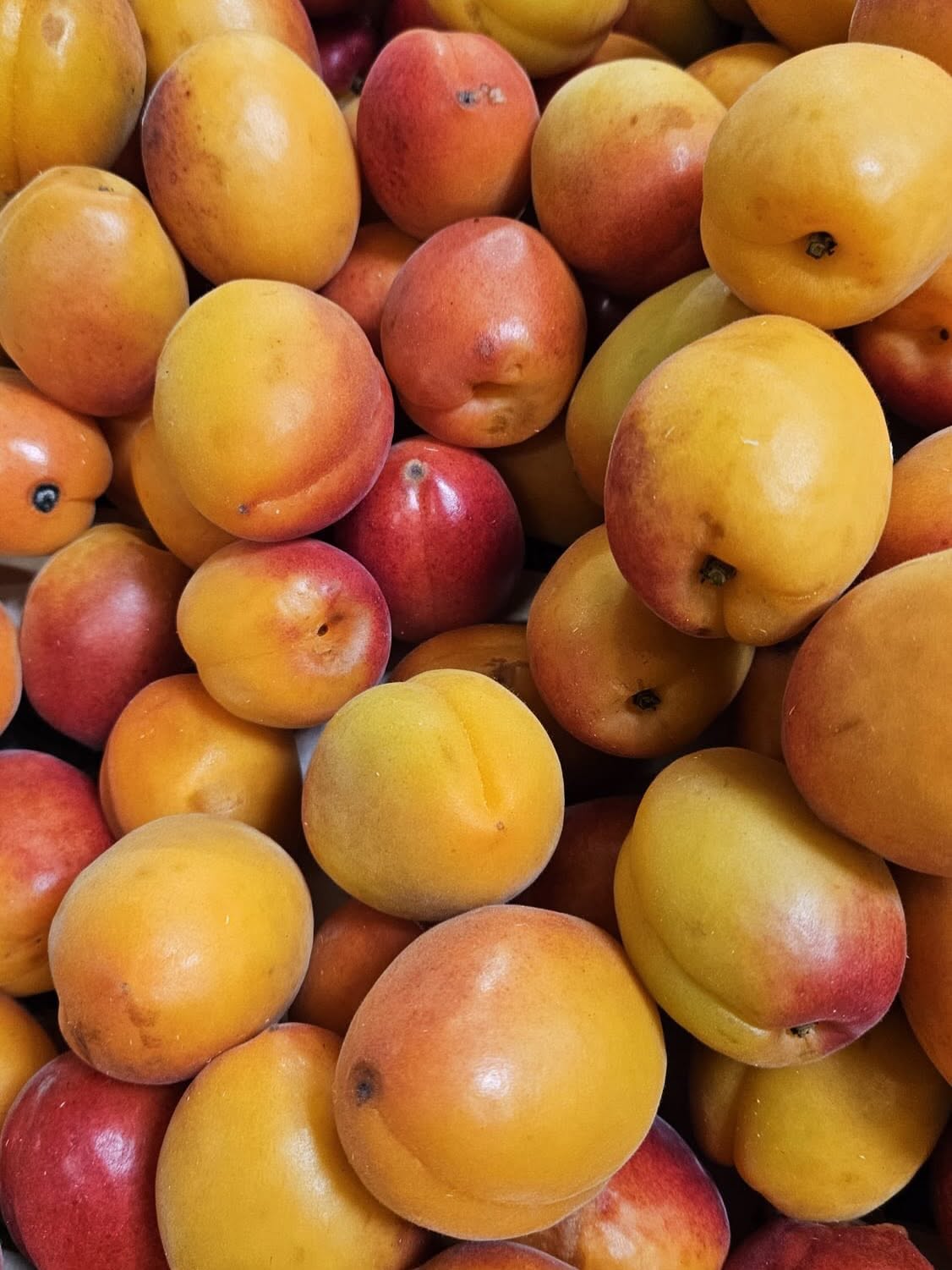 supermarché Eysines